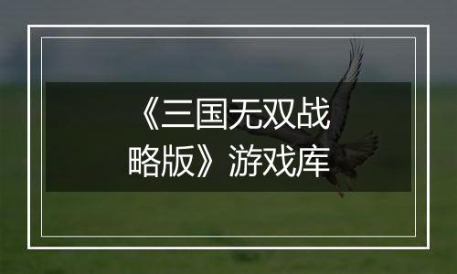 《三国无双战略版》游戏库