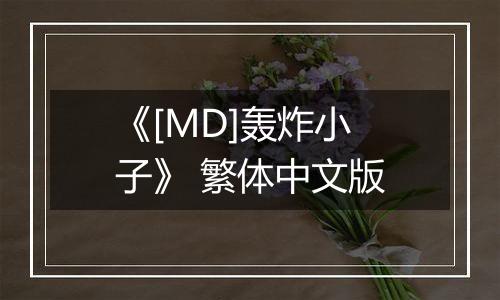 《[MD]轰炸小子》 繁体中文版