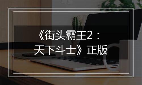 《街头霸王2：天下斗士》正版