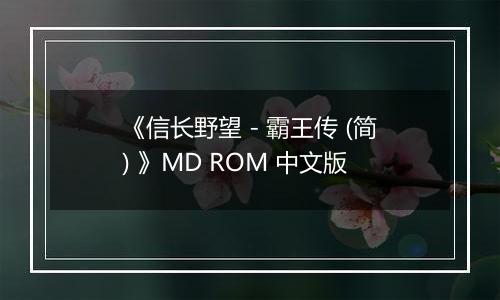 《信长野望 - 霸王传 (简) 》MD ROM 中文版