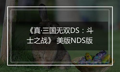 《真·三国无双DS：斗士之战》 美版NDS版